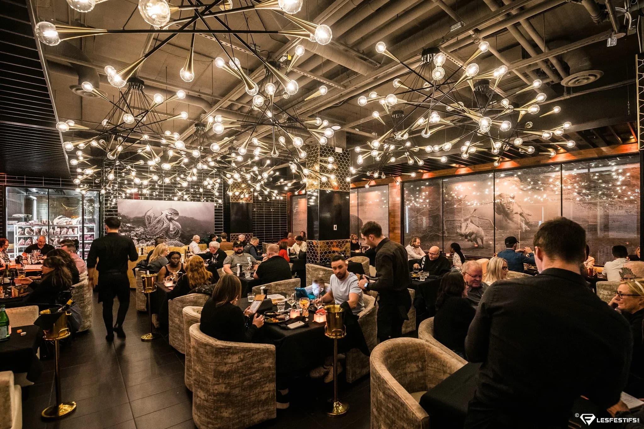 Galerie Steak Avenue 13